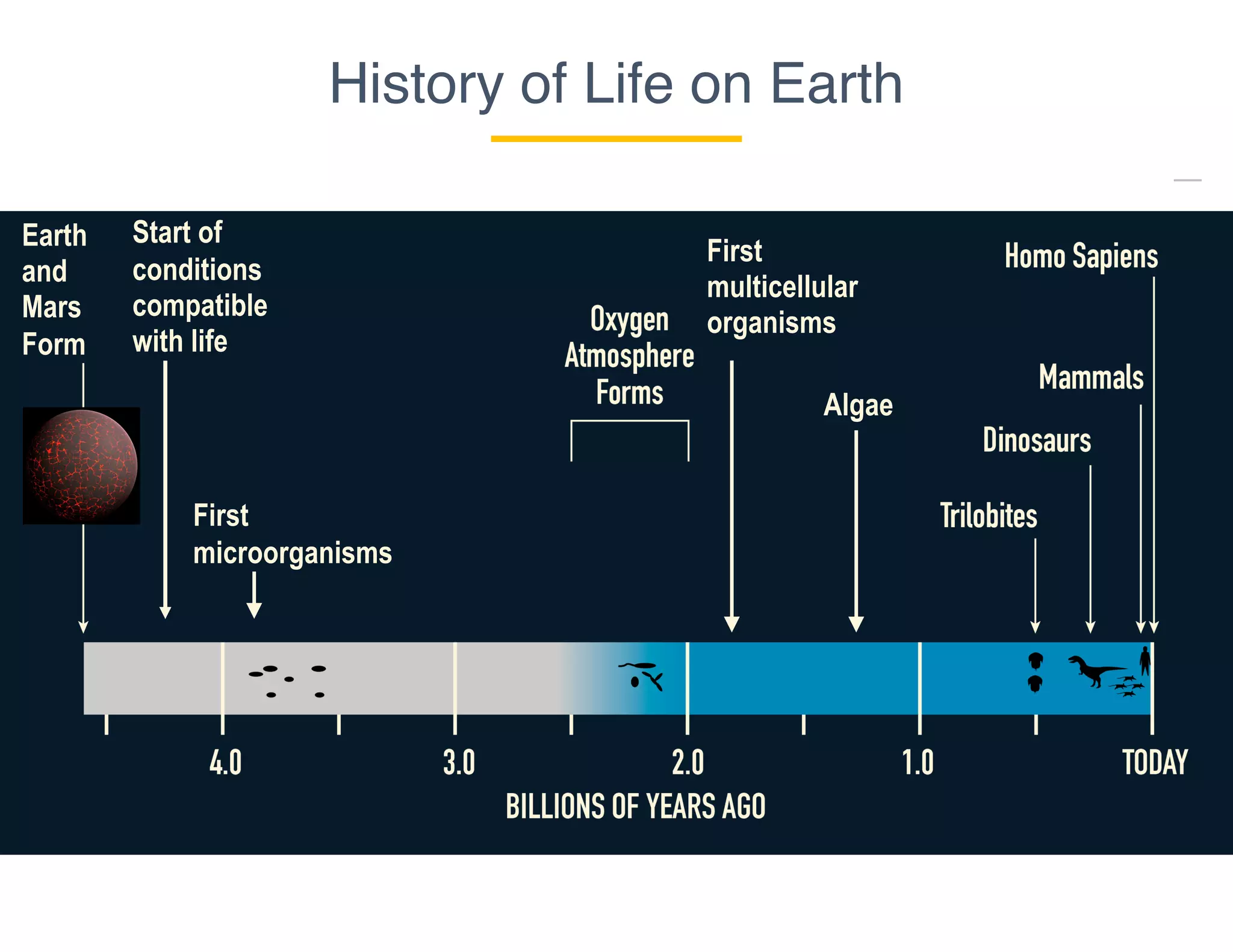 History of Life on Earth
Earth
and
Mars
Form
Start of
conditions
compatible
with life
First
microorganisms
First
multicellular
organisms
Algae
 