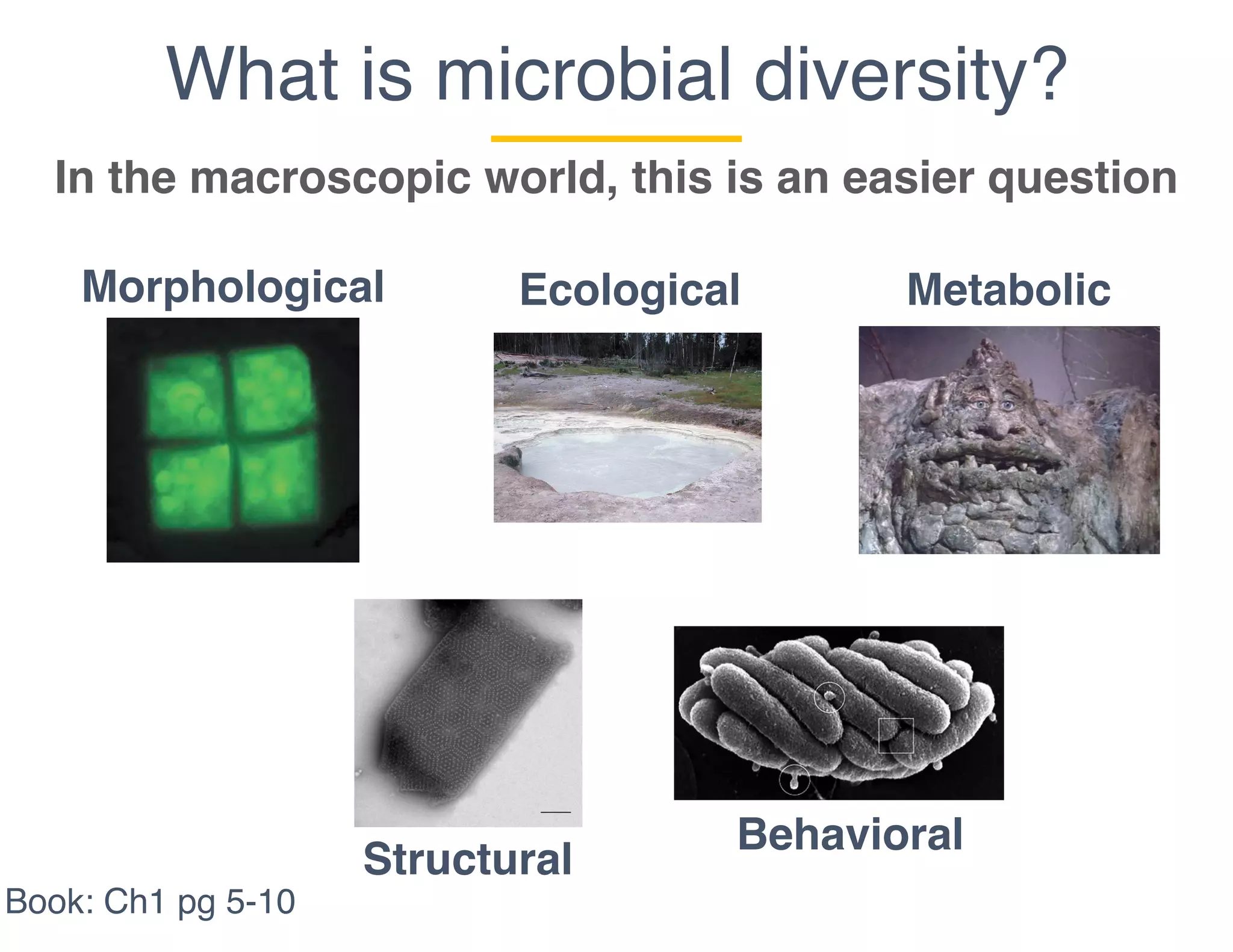 What is microbial diversity?
In the macroscopic world, this is an easier question
Ecological MetabolicMorphological
Structural
Behavioral
Book: Ch1 pg 5-10
 