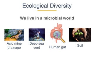 Acid mine
drainage Human gut
Ecological Diversity
We live in a microbial world
Deep sea
vent
Soil
 