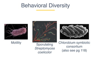Motility
Behavioral Diversity
Sporulating
Streptomyces
coelicolor
Chlorobium symbiotic
consortium
(also see pg 118)
 