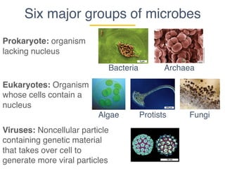 Six major groups of microbes
Prokaryote: organism
lacking nucleus
Bacteria Archaea
Eukaryotes: Organism
whose cells contain a
nucleus
Algae Protists Fungi
Viruses: Noncellular particle
containing genetic material
that takes over cell to
generate more viral particles
 