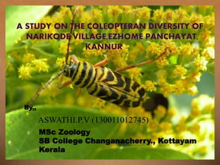ASWATHI.P.V (130011012745)
A STUDY ON THE COLEOPTERAN DIVERSITY OF
NARIKODE VILLAGE,EZHOME PANCHAYAT,
KANNUR
MSc Zoology
SB College Changanacherry., Kottayam
Kerala
By,,
 