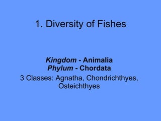 1. Diversity of Fishes Kingdom  - Animalia Phylum  - Chordata 3 Classes: Agnatha, Chondrichthyes, Osteichthyes 