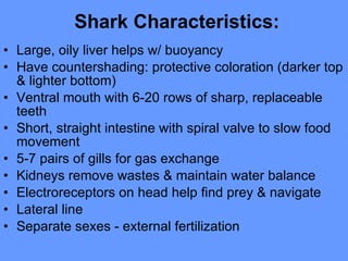 Diversity of fishes | PPT