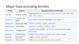 Major food-providing families
 