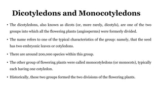 Dicotyledons and Monocotyledons
• The dicotyledons, also known as dicots (or, more rarely, dicotyls), are one of the two
groups into which all the flowering plants (angiosperms) were formerly divided.
• The name refers to one of the typical characteristics of the group: namely, that the seed
has two embryonic leaves or cotyledons.
• There are around 200,000 species within this group.
• The other group of flowering plants were called monocotyledons (or monocots), typically
each having one cotyledon.
• Historically, these two groups formed the two divisions of the flowering plants.
 