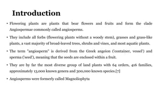 Introduction
• Flowering plants are plants that bear flowers and fruits and form the clade
Angiospermae commonly called angiosperms.
• They include all forbs (flowering plants without a woody stem), grasses and grass-like
plants, a vast majority of broad-leaved trees, shrubs and vines, and most aquatic plants.
• The term "angiosperm" is derived from the Greek angeion ('container, vessel') and
sperma ('seed'), meaning that the seeds are enclosed within a fruit.
• They are by far the most diverse group of land plants with 64 orders, 416 families,
approximately 13,000 known genera and 300,000 known species.[7]
• Angiosperms were formerly called Magnoliophyta
 