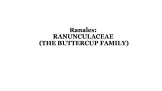 Ranales:
RANUNCULACEAE
(THE BUTTERCUP FAMILY)
 