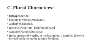 C. Floral Characters:
• Inflorescence:
• Solitary terminal (Anemone),
• Axillary (Clematis),
• Raceme (Aconitum, Delphinium) and
• Cymose (Ranunculus spp.).
• In the species of Nigella, in the beginning, a terminal flower is
formed but later on the raceme develops.
 