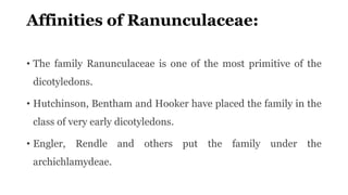 Affinities of Ranunculaceae:
• The family Ranunculaceae is one of the most primitive of the
dicotyledons.
• Hutchinson, Bentham and Hooker have placed the family in the
class of very early dicotyledons.
• Engler, Rendle and others put the family under the
archichlamydeae.
 
