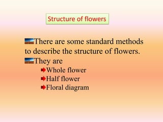 Structure of flowers


   There are some standard methods
to describe the structure of flowers.
   They are
      Whole flower
      Half flower
      Floral diagram
 