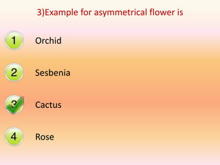 3)Example for asymmetrical flower is

Orchid


Sesbenia


Cactus


Rose
 