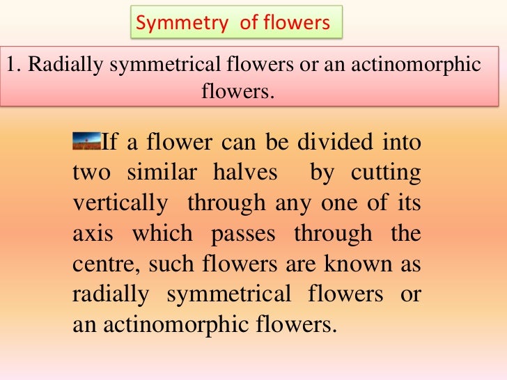 Diversity of flowers