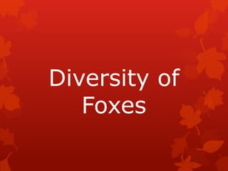 Diversity of
Foxes

 