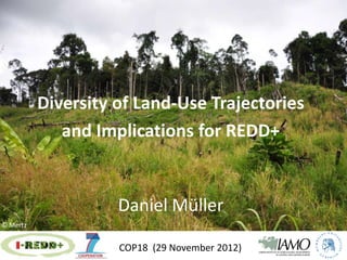 Diversity of Land-Use Trajectories
             and Implications for REDD+


                    Daniel Müller
© Mertz


                    COP18 (29 November 2012)
 