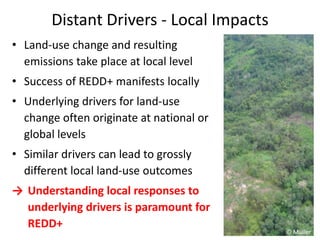 Diversity of land use trajectories and implications for redd+