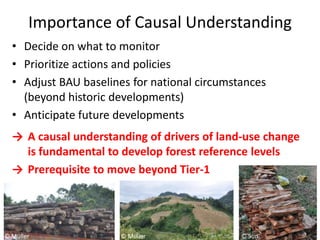 Diversity of land use trajectories and implications for redd+
