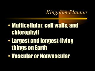 Kingdom Plantae
• Multicellular, cell walls, and
chlorophyll
• Largest and longest-living
things on Earth
• Vascular or No...