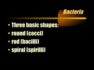 Bacteria
• Three basic shapes:
• round (cocci)
• rod (bacilli)
• spiral (spirilli)

 
