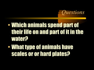 Questions
• Which animals spend part of
their life on and part of it in the
water?
• What type of animals have
scales or o...