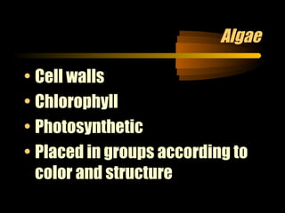 Algae
• Cell walls
• Chlorophyll
• Photosynthetic
• Placed in groups according to
color and structure

 