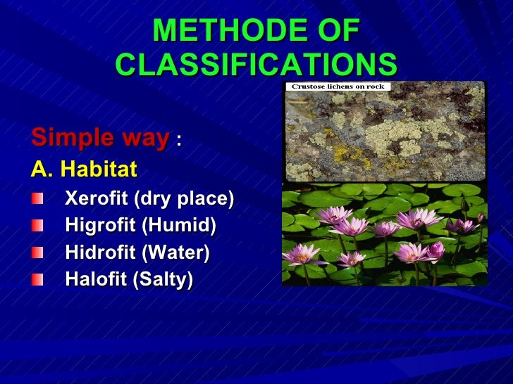 diversity of living things Introduction in this tutorial you will be learning about the linnaean system of classification used in the biological sciences to describe and categorize all living things the focus is on finding out how humans fit within this system in addition, you will discover part of the great diversity of life forms and come to understand why some. diversity of living things Introduction in this tutorial you will be learning about the linnaean system of classification used in the biological sciences to describe and categorize all living things the focus is on finding out how humans fit within this system in addition, you will discover part of the great diversity of life forms and come to understand why some.