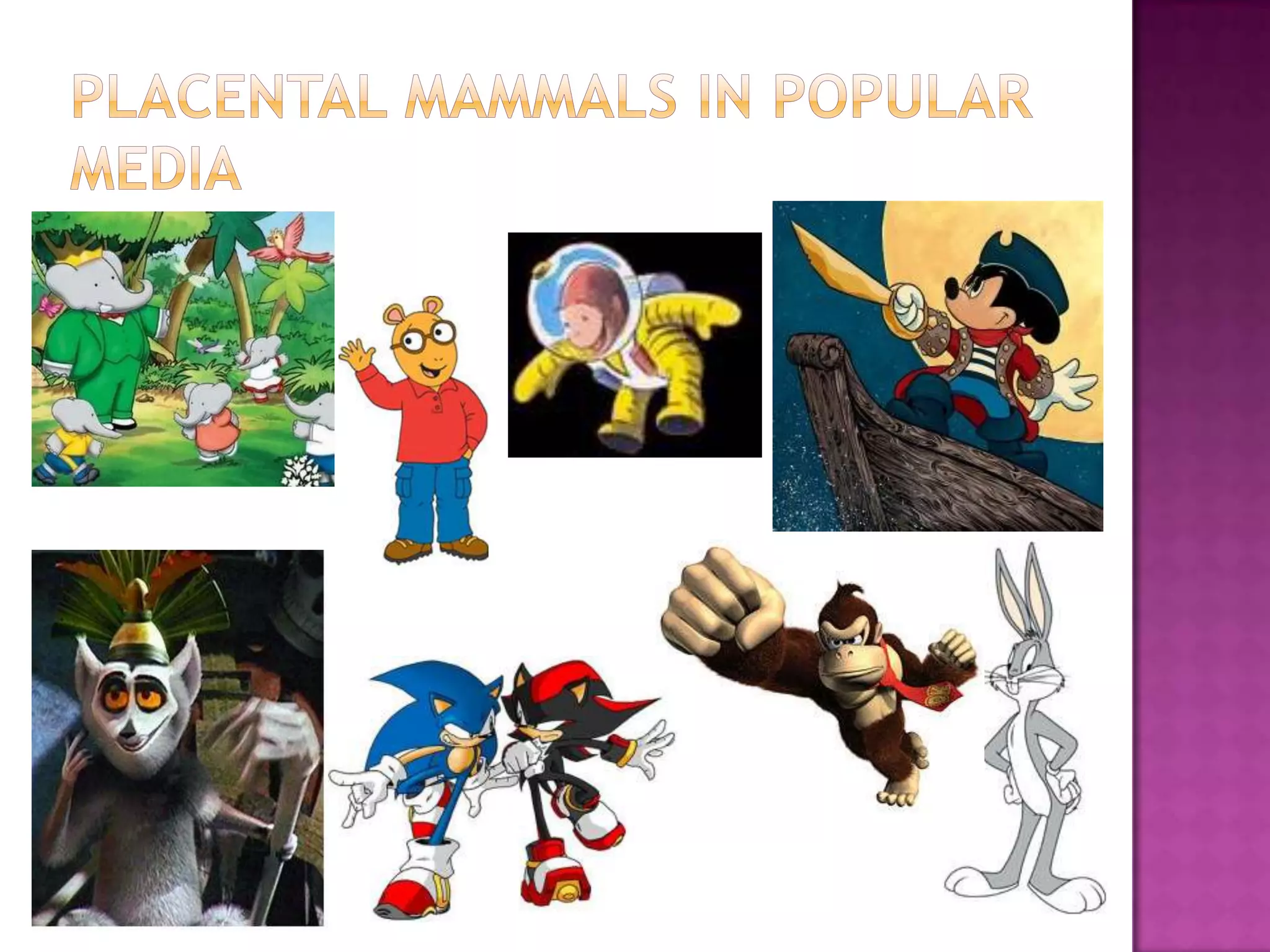 Diversity Of Mammals Placental Mammals | PPTX