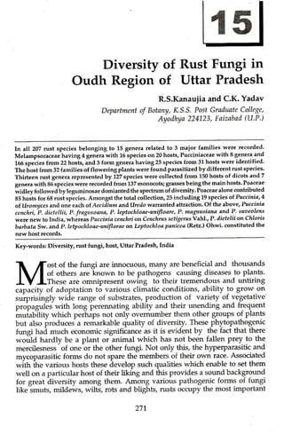Diversity of rust fungi in oudh region of uttar pradesh