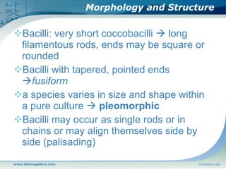 Diversity of the microbial world 2008 2009 | PPT