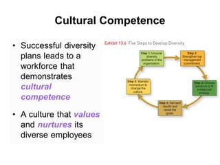 Cultural Competence
 