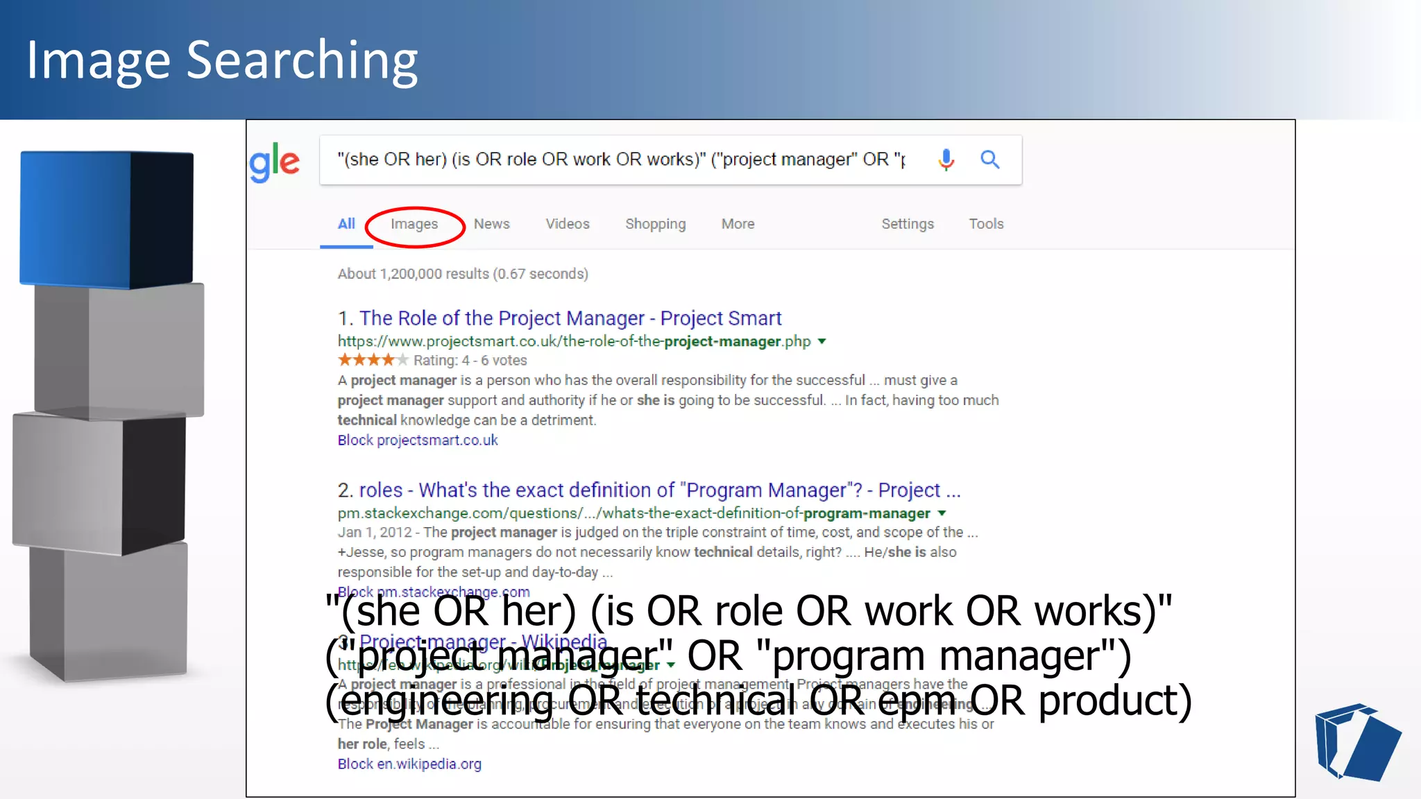 Image Searching
"(she OR her) (is OR role OR work OR works)"
("project manager" OR "program manager")
(engineering OR technical OR epm OR product)
 