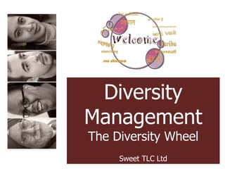 Diversity Management The Diversity Wheel Sweet TLC Ltd 
