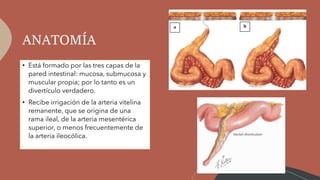 ANATOMÍA
• Está formado por las tres capas de la
pared intestinal: mucosa, submucosa y
muscular propia; por lo tanto es un
divertículo verdadero.
• Recibe irrigación de la arteria vitelina
remanente, que se origina de una
rama ileal, de la arteria mesentérica
superior, o menos frecuentemente de
la arteria ileocólica.
 