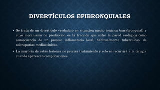 DIVERTÍCULOS EPIBRONQUIALES
• Se trata de un divertículo verdadero en situación medio torácica (parabronquial) y
cuyo mecanismo de producción es la tracción que sufre la pared esofágica como
consecuencia de un proceso inflamatorio local, habitualmente tuberculoso, de
adenopatías mediastínicas.
• La mayoría de estas lesiones no precisa tratamiento y solo se recurrirá a la cirugía
cuando aparezcan complicaciones.
 