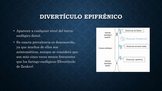 DIVERTÍCULO EPIFRÉNICO
• Aparecer a cualquier nivel del tercio
esofágico distal.
• Su exacta prevalencia es desconocida,
ya que muchos de ellos son
asintomáticos, aunque se considera que
son más cinco veces menos frecuentes
que los faringo-esofágicos (Divertículo
de Zenker).
 