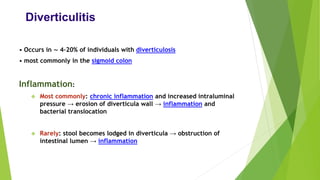 Diverticulitis
• Occurs in ∼ 4–20% of individuals with diverticulosis
• most commonly in the sigmoid colon
Inflammation:
❖ Most commonly: chronic inflammation and increased intraluminal
pressure → erosion of diverticula wall → inflammation and
bacterial translocation
❖ Rarely: stool becomes lodged in diverticula → obstruction of
intestinal lumen → inflammation
 