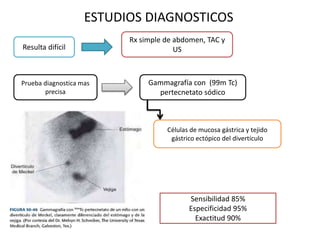 ESTUDIOS DIAGNOSTICOS
Resulta difícil
Rx simple de abdomen, TAC y
US
Prueba diagnostica mas
precisa
Gammagrafía con (99m Tc)
pertecnetato sódico
Células de mucosa gástrica y tejido
gástrico ectópico del divertículo
Sensibilidad 85%
Especificidad 95%
Exactitud 90%
 