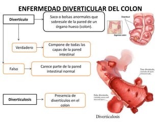 ENFERMEDAD DIVERTICULAR DEL COLON
Divertículo
Saco o bolsas anormales que
sobresale de la pared de un
órgano hueco (colon).
Verdadero
Compone de todas las
capas de la pared
intestinal
Falso
Carece parte de la pared
intestinal normal
Diverticulosis
Presencia de
divertículos en el
colon
 