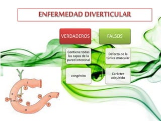 VERDADEROS
Contiene todas
las capas de la
pared intestinal
congénito
FALSOS
Defecto de la
túnica muscular
Carácter
adquirido
 