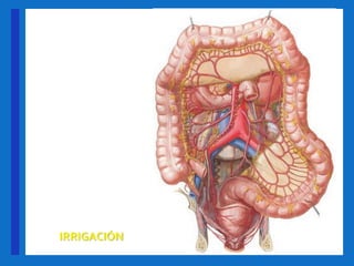 +
IRRIGACIÓN
 