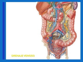 +
DRENAJEVENOSO
 