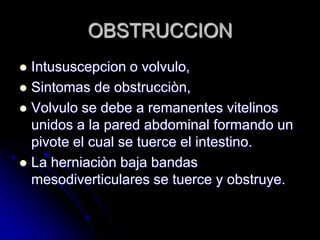 OBSTRUCCION
 Intususcepcion o volvulo,
 Sintomas de obstrucciòn,
 Volvulo se debe a remanentes vitelinos
  unidos a la pared abdominal formando un
  pivote el cual se tuerce el intestino.
 La herniaciòn baja bandas
  mesodiverticulares se tuerce y obstruye.
 