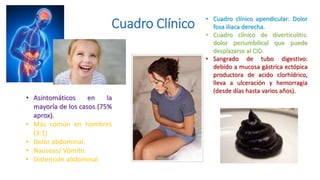 Cuadro Clínico
• Asintomáticos en la
mayoría de los casos (75%
aprox).
• Mas común en hombres
(3:1)
• Dolor abdominal.
• Nauseas/ Vómito.
• Distensión abdominal.
• Cuadro clínico apendicular: Dolor
fosa iliaca derecha.
• Cuadro clínico de diverticulitis:
dolor periumbilical que puede
desplazarse al CID.
• Sangrado de tubo digestivo:
debido a mucosa gástrica ectópica
productora de acido clorhídrico,
lleva a ulceración y hemorragia
(desde días hasta varios años).
 