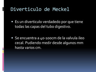 Diverticulo de Meckel
 Es un diverticulo verdadedo por que tiene
todas las capas del tubo digestivo.
 Se encuentra a 40-100cm de la valvula ileo
cecal. Pudiendo medir desde algunos mm
hasta varios cm.
 