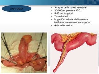 ANATOMÍA

-

3 capas de la pared intestinal
30-100cm proximal VIC
5-10 cm longitud
2 cm diámetro
Irrigación: arteria vitelina-rama
ileal-arteria mesentérica superior
- Arteria ileocolica

 