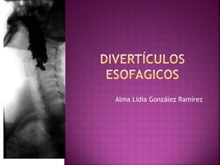 Alma Lidia González Ramírez 
 