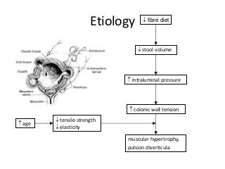 Etiology  fibre diet
 stool volume
 intraluminal pressure
 colonic wall tension
muscular hypertrophy,
pulsion diverticula
 tensile strength
 elasticity
 age
 