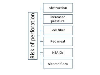 Riskofperforation
obstruction
Increased
pressure
Low fiber
Red meat
NSAIDs
Altered flora
 