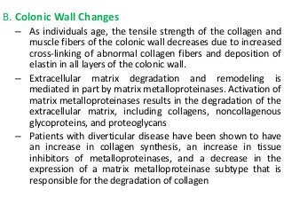 B. Colonic Wall Changes
– As individuals age, the tensile strength of the collagen and
muscle fibers of the colonic wall decreases due to increased
cross-linking of abnormal collagen fibers and deposition of
elastin in all layers of the colonic wall.
– Extracellular matrix degradation and remodeling is
mediated in part by matrix metalloproteinases. Activation of
matrix metalloproteinases results in the degradation of the
extracellular matrix, including collagens, noncollagenous
glycoproteins, and proteoglycans
– Patients with diverticular disease have been shown to have
an increase in collagen synthesis, an increase in tissue
inhibitors of metalloproteinases, and a decrease in the
expression of a matrix metalloproteinase subtype that is
responsible for the degradation of collagen
 