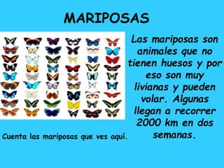 MARIPOSAS
Las mariposas son
animales que no
tienen huesos y por
eso son muy
livianas y pueden
volar. Algunas
llegan a recorrer
2000 km en dos
semanas.Cuenta las mariposas que ves aquí.
 